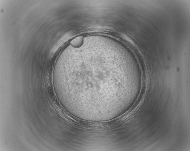 X0000052541259200507221417