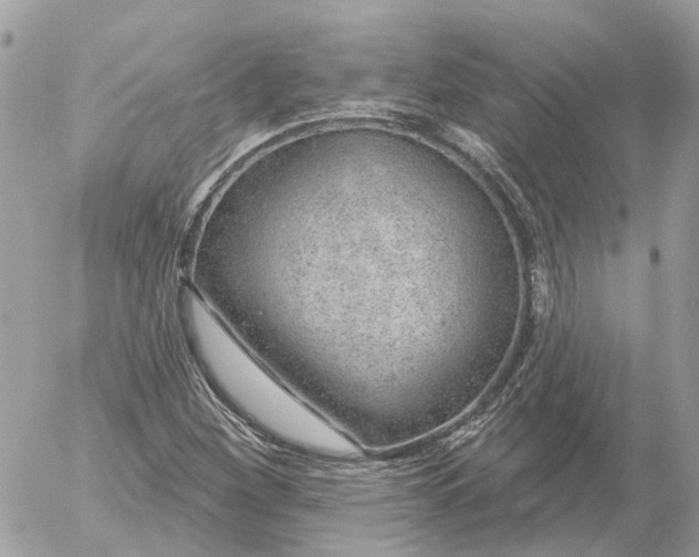 X0000052541260200507221417