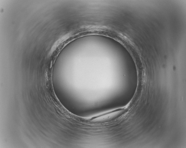 X0000052541261200507221417