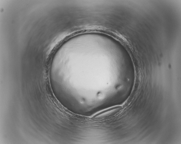 X0000052541263200507221417