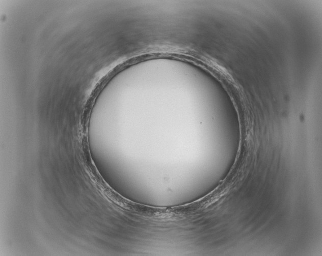 X0000052541264200507221416