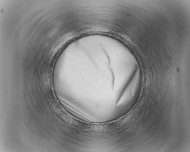 X0000052541266200507221416