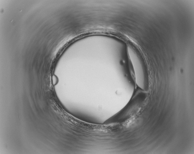 X0000052541267200507221416