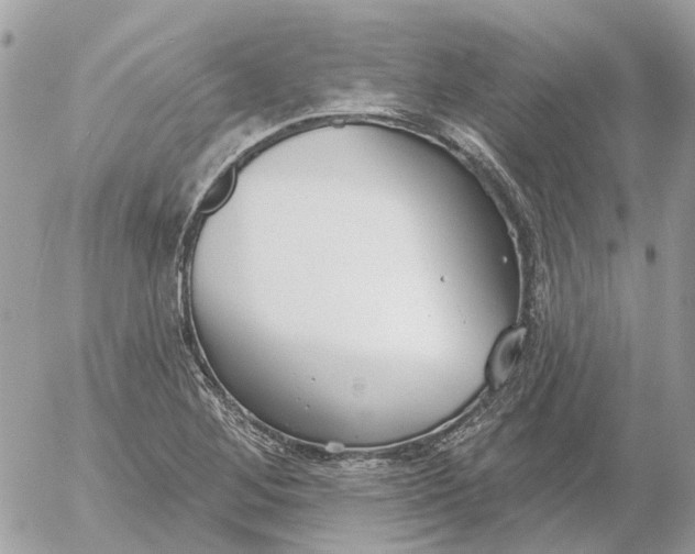 X0000052541268200507221416