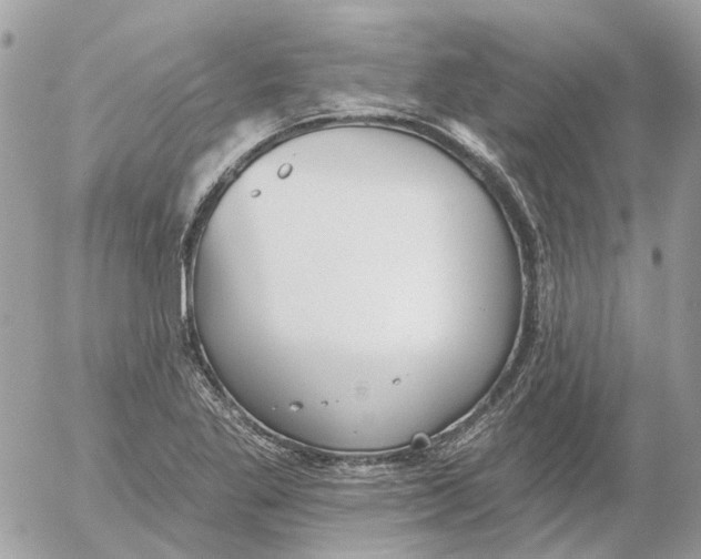 X0000052541269200507221416