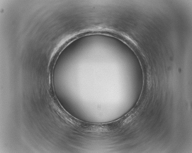 X0000052541270200507221416