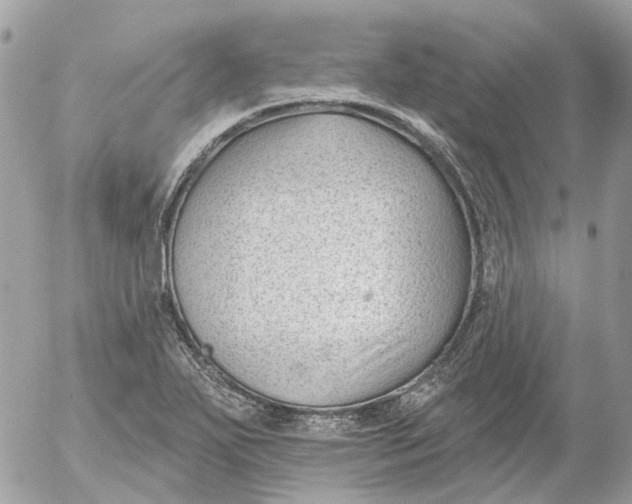 X0000052541271200507221416