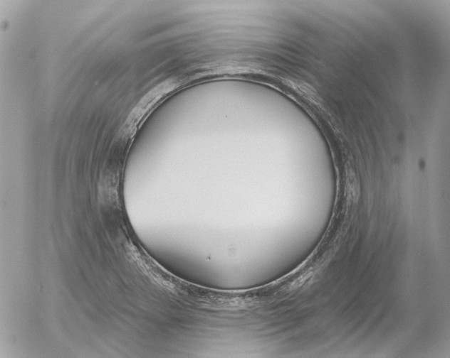 X0000052541273200507221416