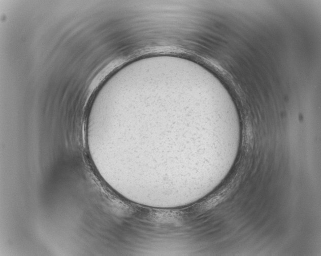 X0000052541274200507221416