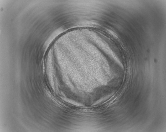 X0000052541275200507221416