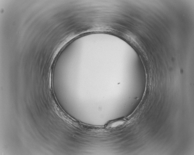 X0000052541276200507221416