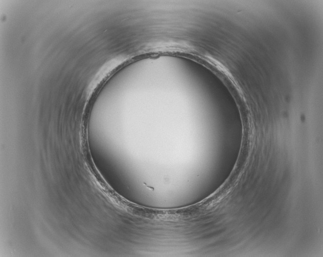 X0000052541277200507221416