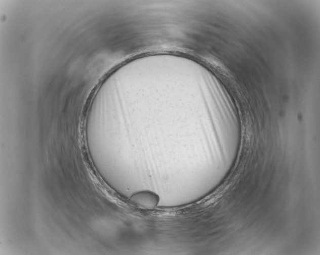 X0000052541278200507221416