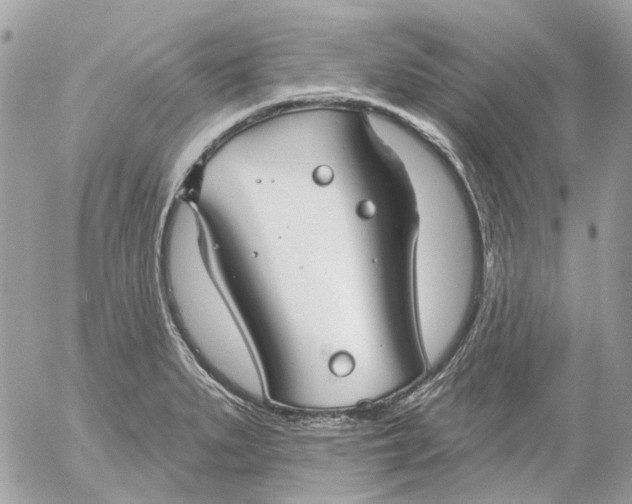 X0000052541279200507221416