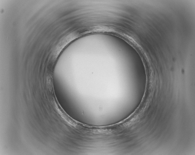 X0000052541281200507221416