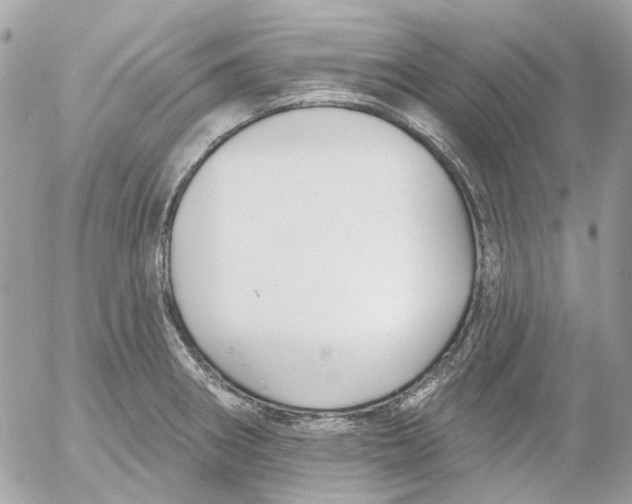 X0000052541282200507221416