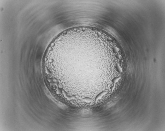 X0000052541283200507221416