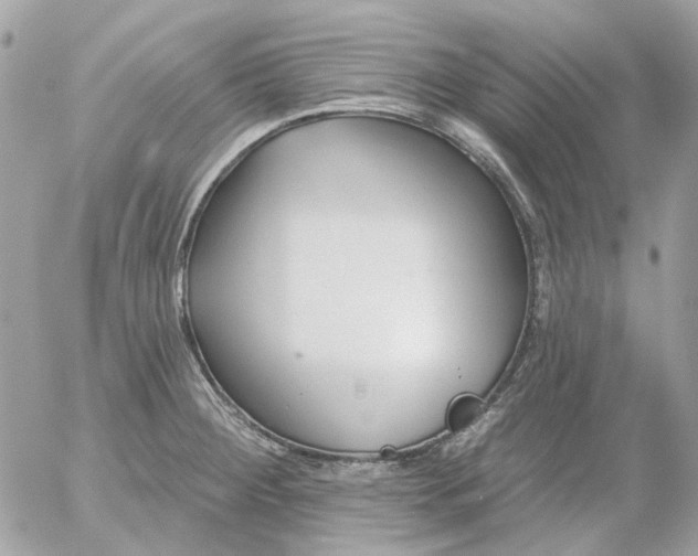 X0000052541284200507221416