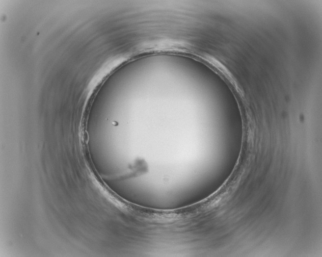 X0000052541285200507221416