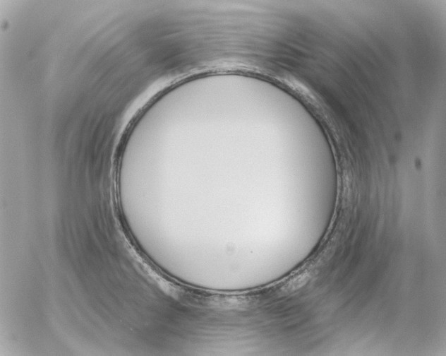 X0000052541286200507221416