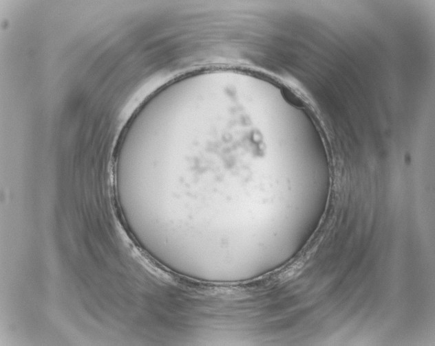 X0000052541287200507221416