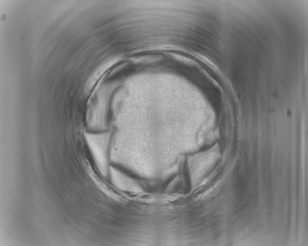 X0000052541289200507221416