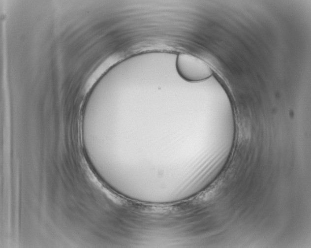 X0000052541290200507221416