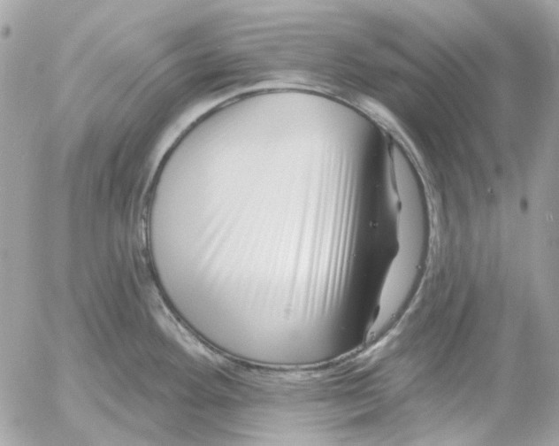 X0000052541292200507221416