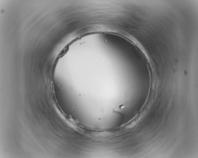 X0000052541293200507221416