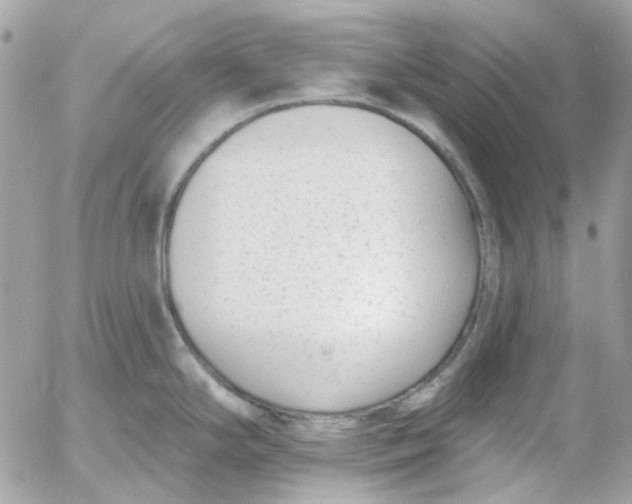 X0000052541294200507221416