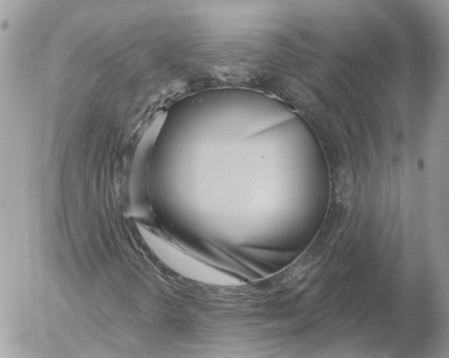 X0000052541298200507221415