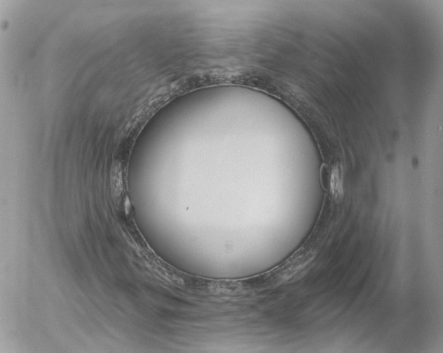 X0000052541299200507221415