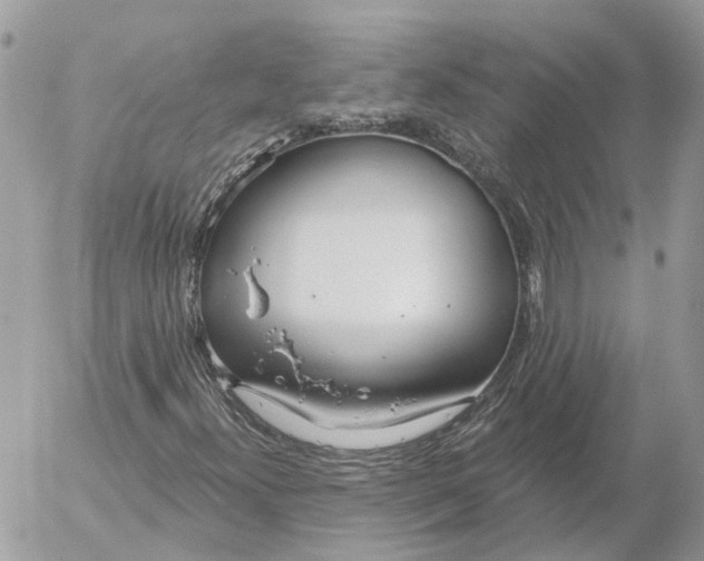 X0000052541300200507221415