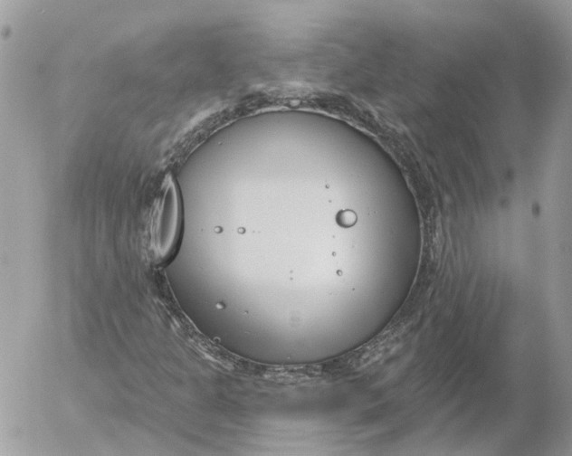 X0000052541301200507221415