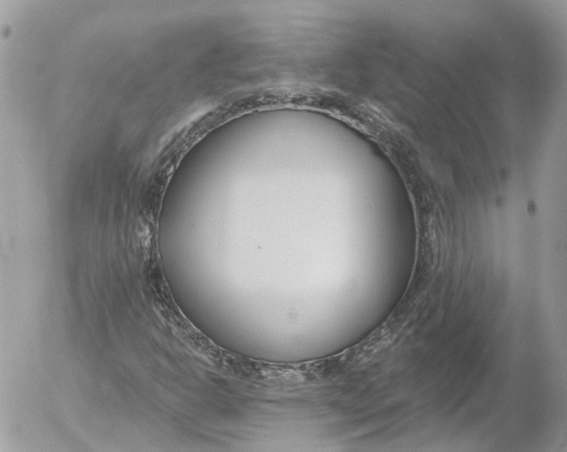 X0000052541302200507221415