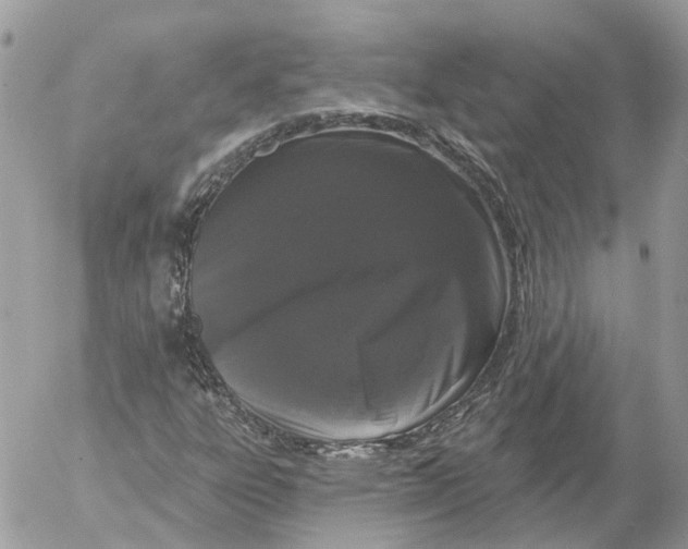 X0000052541303200507221415