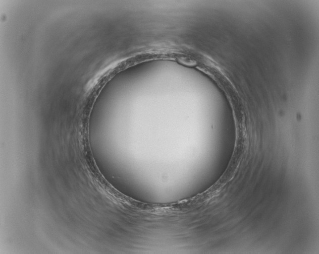 X0000052541304200507221415