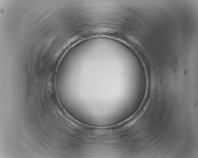 X0000052541305200507221415