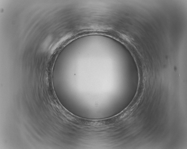 X0000052541307200507221415