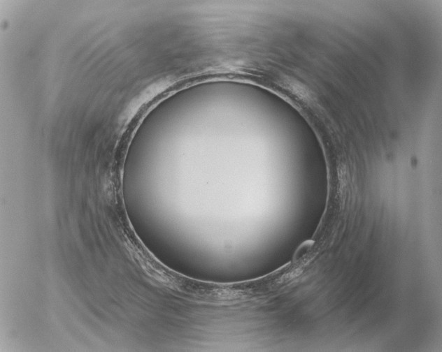 X0000052541308200507221415