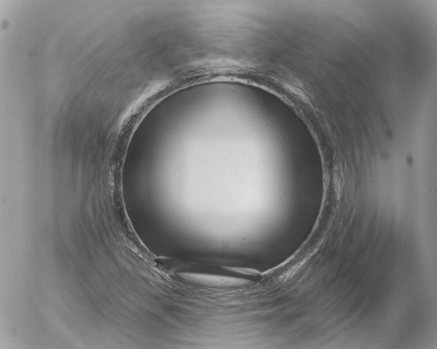 X0000052541309200507221415