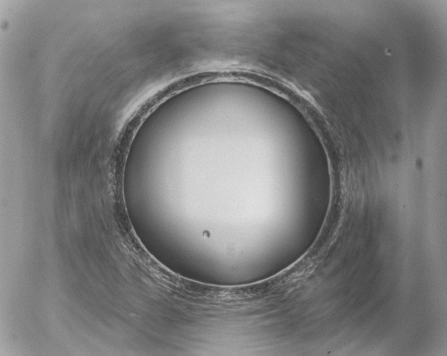 X0000052541311200507221415