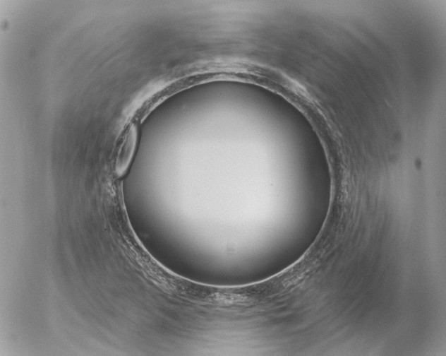 X0000052541312200507221415