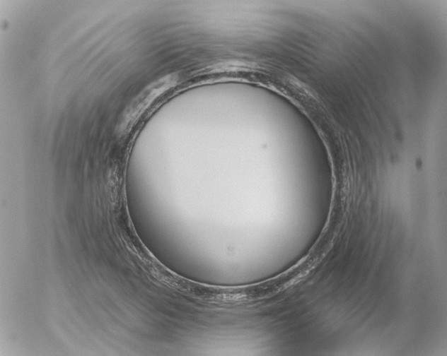 X0000052541313200507221415