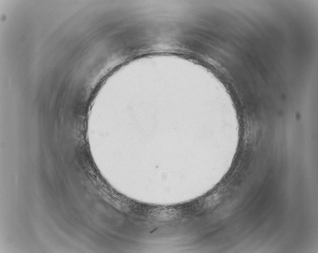 X0000052541314200507221415