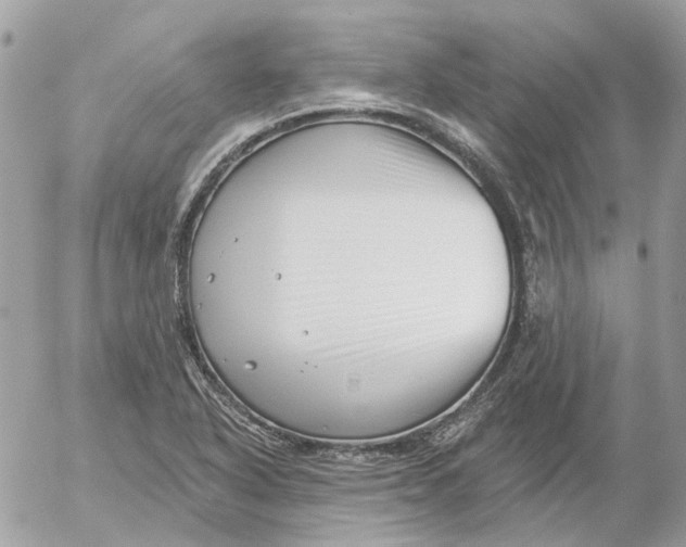 X0000052541318200507221416