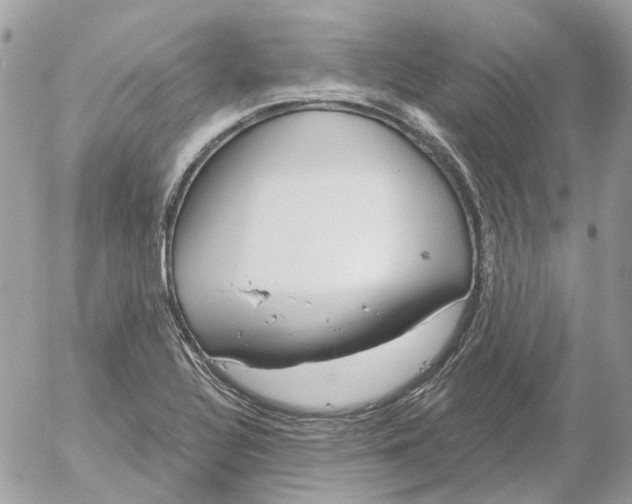 X0000052541320200507221416