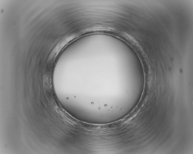 X0000052541321200507221416