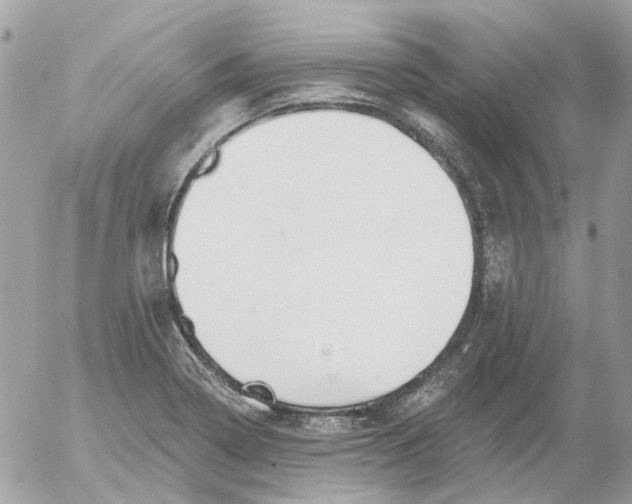 X0000052541322200507221416