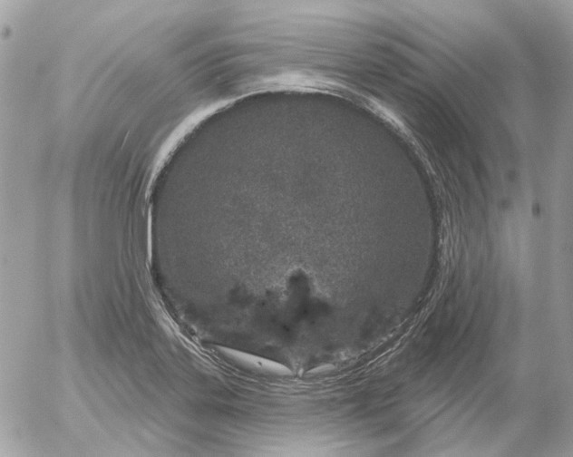 X0000052541323200507221416